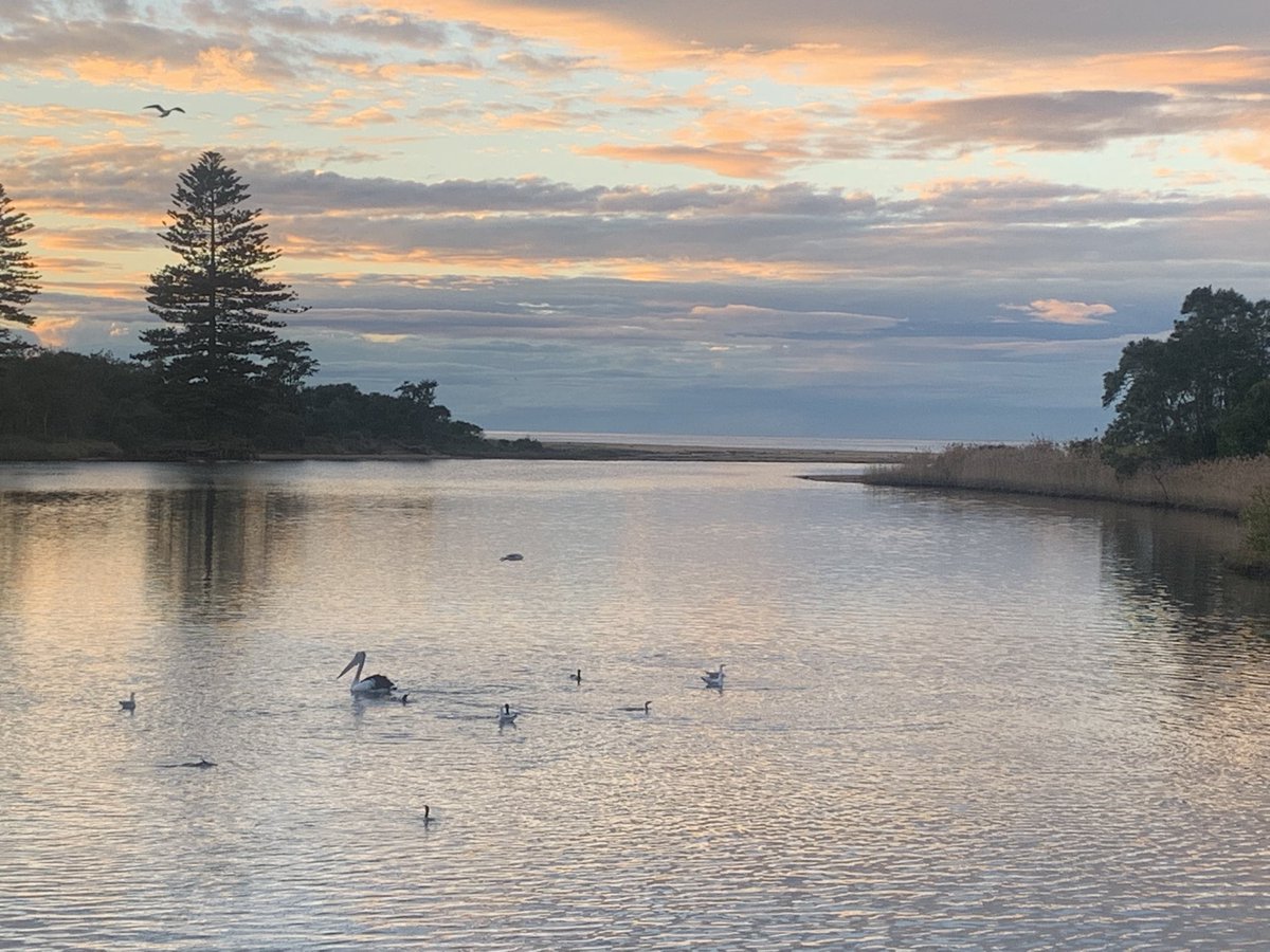 GordonGWallace's tweet image. Extended the #lockdownloop in #TheGong today. It’s not shabby down this end of the lagoon .