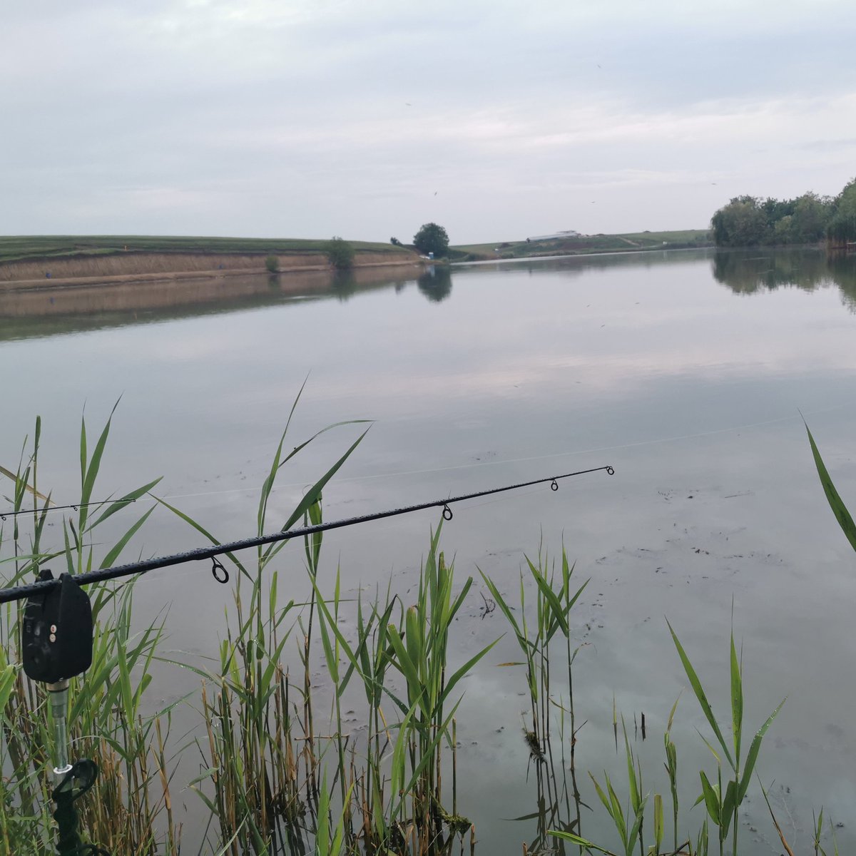 MiloPlayerOff's tweet image. #NewProfilePic