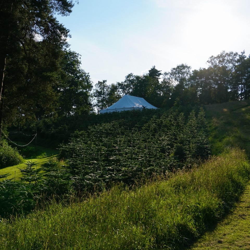 psfestival's tweet photo. Our tent has arrived!
π· Jessica Marsh
20-25 July 2021 - a few tickets left.
#nearlysoldout #amidsummernightsdream #wyldsfarm #summerevents #openairtheatre https://t.co/5Gc5OkIe6l