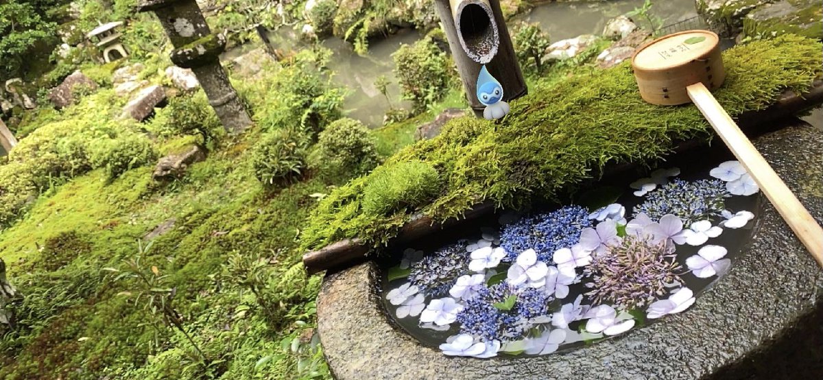 tatan222's tweet image. #NoFilterARFriday #ARofTheDay   #Castform