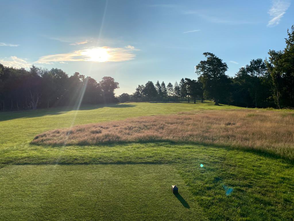 TandridgeGolf's tweet image. Who’s looking forward to the weekend? Will you be playing or watching the best in the world at The Open? 
Tandridge is looking fantastic, here’s some images from Scott the course manager taken early morning