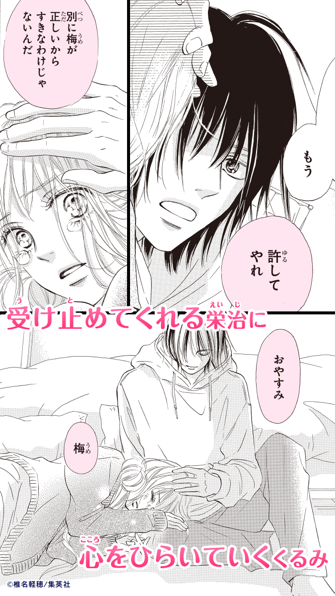 君に届け1〜30全巻&番外編 運命の人1〜3全巻セット 完結記念特装