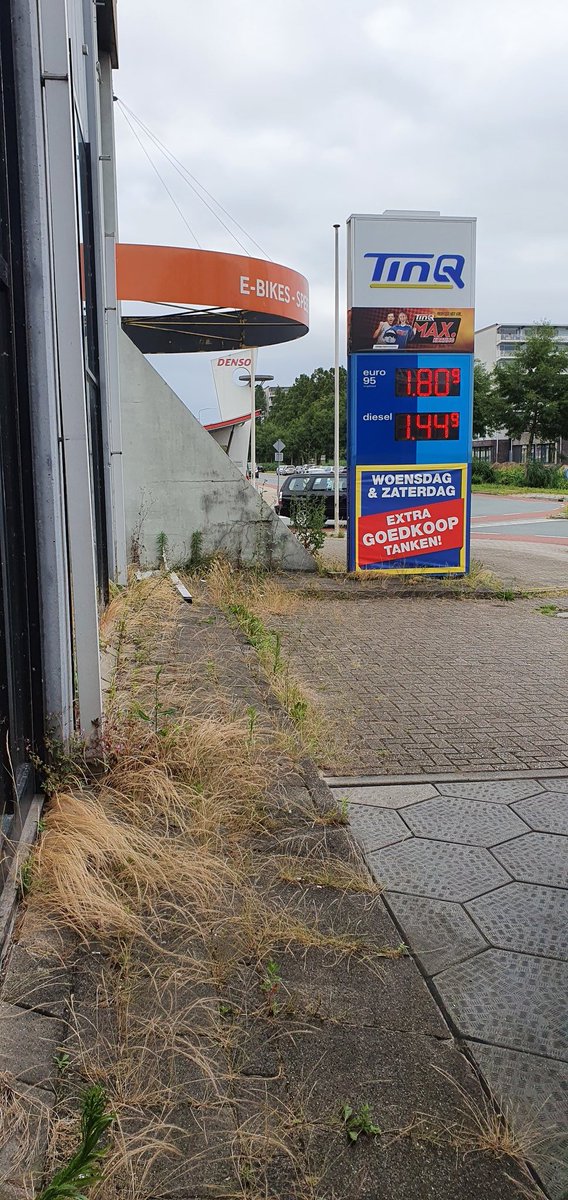 artphil's tweet photo. De Jungle die Tinq heet... https://t.co/jRHHpFPwte