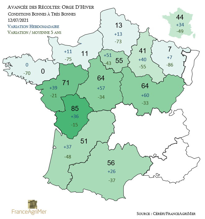 Céréfi tweet media