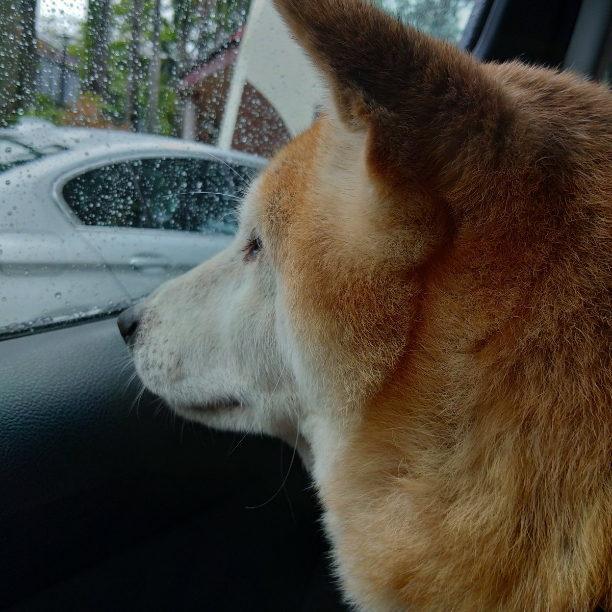 Aethel0223's tweet photo. #NewProfilePic https://t.co/lEf6vxjTOp