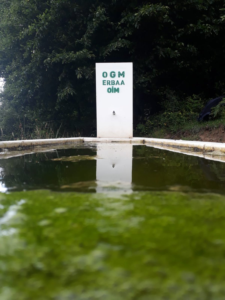 Sanıyor ki yayla bi tek Karadeniz de var. Yaylaysa yayla, meraysa mera bizde de var. Biz de Orta Karadeniz Bolgesindeyiz ama Trabzonlular Rizeliler Giresunlular Ordular bizi Garadenizli saymiyor🤣🤣
1330 metre rakımda mis gibi hava
Erbaa Hodaypınarı ve Gumusalan yaylası