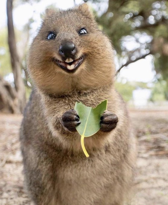 今日ジム！晩御飯サラダ🥗(多分w) へっ！ https://t.co/uW1VUZIug3