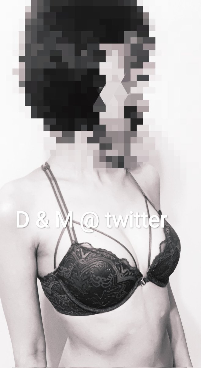 David&Meow tweet media