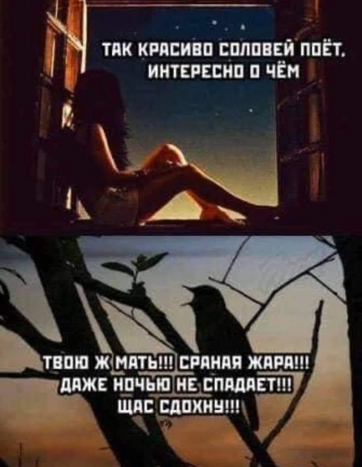 "Слуга народа" Арахамия собирается потратить на отпуск с семьей $5 тыс. - Цензор.НЕТ 6945