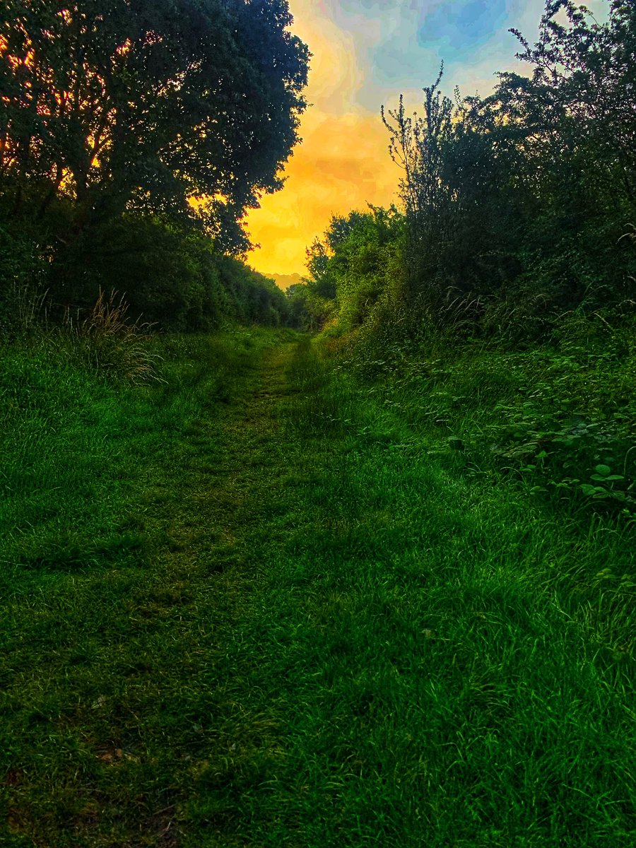 romfordrunner's tweet photo. Sweat the work stress away, both at the gym and with the sunrise 🌅 #crosstraining #sunrise #dogwalk #bordercollie #strengthtraining #strongerrunner #ukrunchat #injuryrehab #stressrelief https://t.co/1DxoR0FjAe