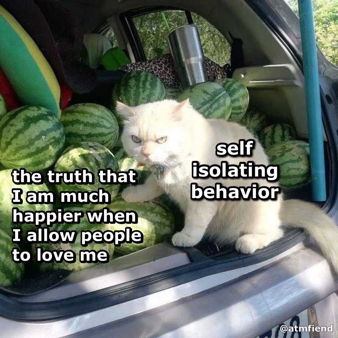 meme today