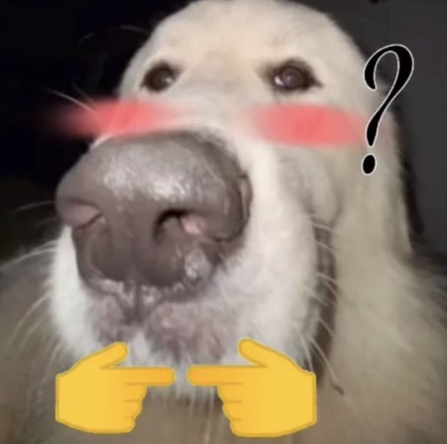 Logan 🦭 tweet media