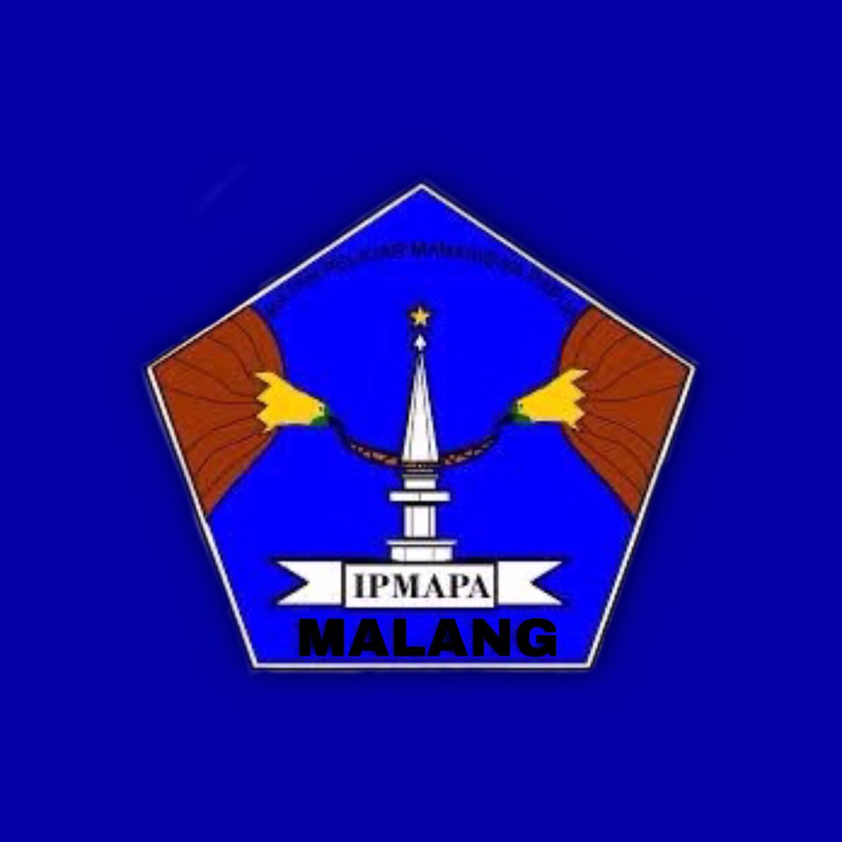 ipmapa21 tweet media