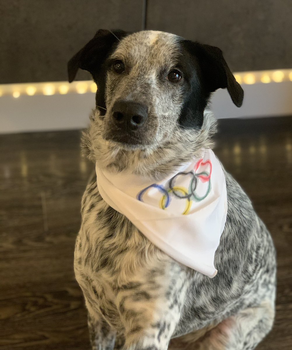 MarvDumbledore's tweet photo. I just hope everyone has fun 🥇
Happy Olympics &amp; stay safe! https://t.co/90Qc4FBcdi