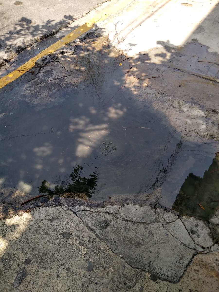 iorshhh's tweet photo. @AyD_ParaTi Buenas tardes, reportando una fuga de un registro de drenaje Liceaga # 2101 Col. Pedro Lozano esq. Manuel Martínez Carranza nos dieron el # de reporte 5/4929 pero no han venido a reparar, ya tenemos 3 días con el problema. 

De antemano muchas gracias https://t.co/1LlZNbd4MD