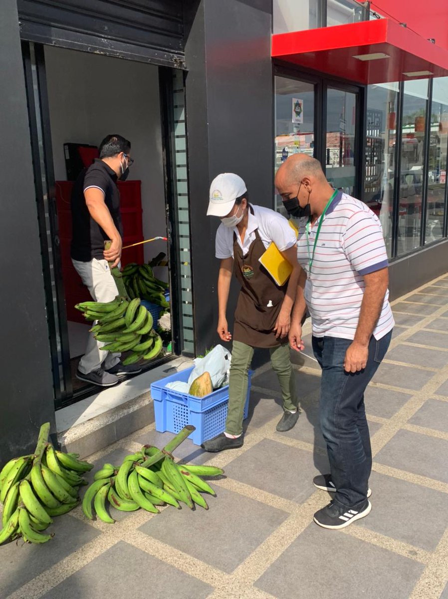 IICAEcuador's tweet photo. #ProyectoSelloAFC En Esmeraldas la Asociación Hormiga cumple su sueño de abastecer prestigiosos restaurantes. Luz Elena, su presidenta hace primera entrega en café Galy’s y Fernando. @IICAnoticias @TanllyVera @FIEDSprograma @AgriculturaEc @mne2019 @prefesmeraldas @municipioesm https://t.co/3atXDpUPeT