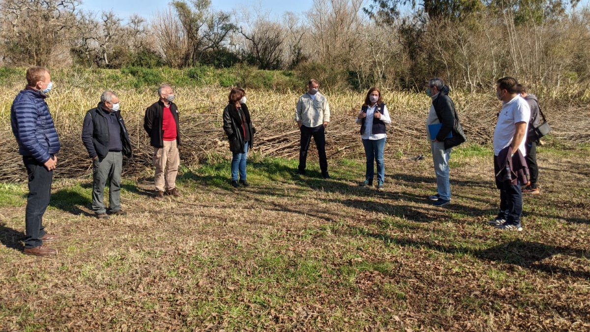 intaargentina's tweet photo. #INTADelta trabaja en el territorio insular de la provincia de Buenos Aires y de parte de Entre Ríos
En el inicio del recorrido, las distintas áreas presentaron sus temáticas de trabajo e investigación: ganadería silvopastoril, producción forestal, mimbrería, pecán, apicultura https://t.co/b36LiC4tG7