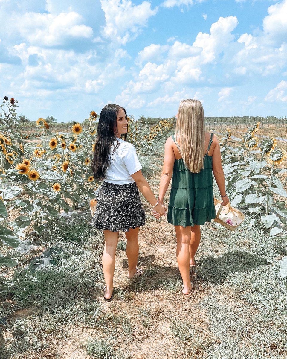 📍Golden Hour Garden🌻