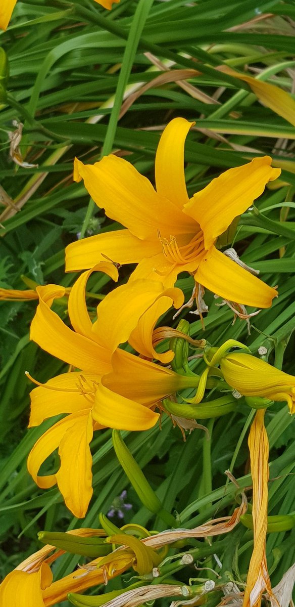 barbmilne's tweet photo. #SunnyOut https://t.co/Gl45vZmAF5