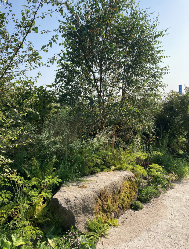 Former RHS Young Designer finalist <a href="/Anca_ElenaP/">Anca-Elena Panait</a>
Anca Panait brings the RHS Flower Power Garden to #RHSTattonPark this year 🌼

Explore the garden: rhs.org.uk/shows-events/r…