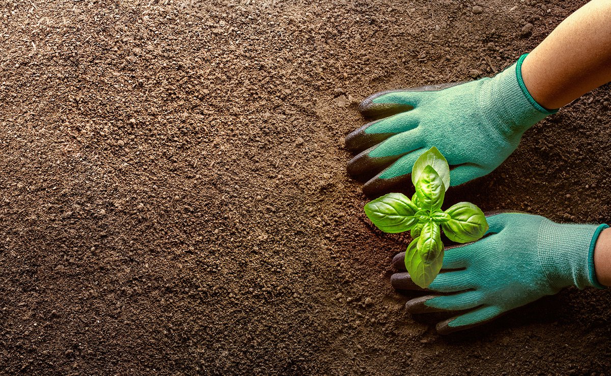 Un pequeño paso para un futuro mejor. Digitalizamos nuestros procesos reduciendo el uso del papel, y seguimos trabajando para encontrar otras soluciones que nos permitan cuidar el planeta sin perder la calidad y seguridad que nos exigimos y que le debemos a nuestros clientes.