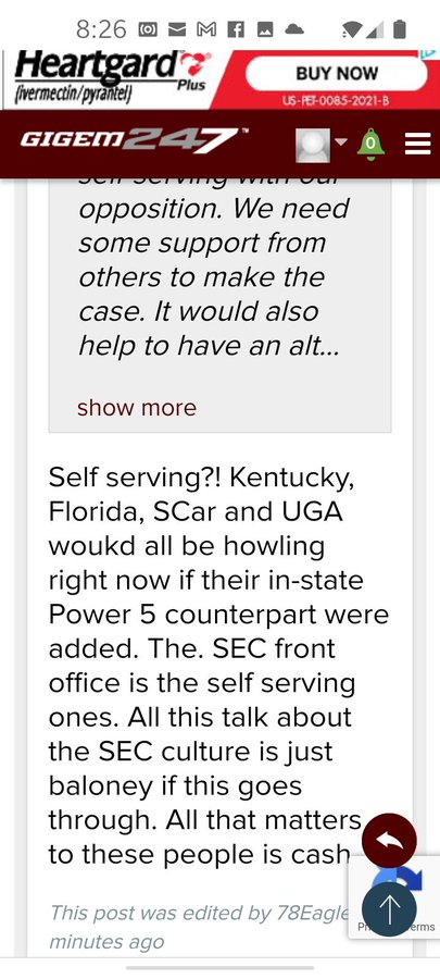 E6_AXc7XoAIA1Ya?format=jpg&name=900x900