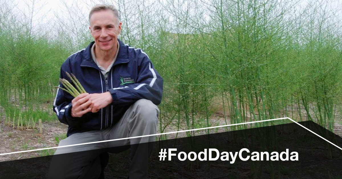 UofGuelphNews's tweet image. #FoodDayCanada | Beyond Millennium: Two new asparagus varieties developed at #UofG are expected to further improve Ontario's asparagus industry.

Learn More: uoguel.ph/tmlk5

@UofG @UofGResearch @plantagguelph @UofGuelphOAC