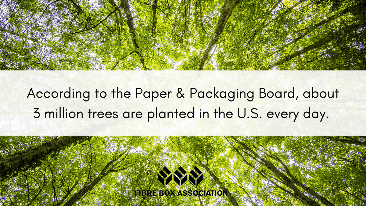 FibreBoxAssn's tweet photo. Itโs Fast Facts Friday! According to the @HowLifeUnfolds, about 3 million trees are planted in the U.S. every day.
#FastFactsFriday #forestry #USForests #sustainability https://t.co/rKtE6DlF5y