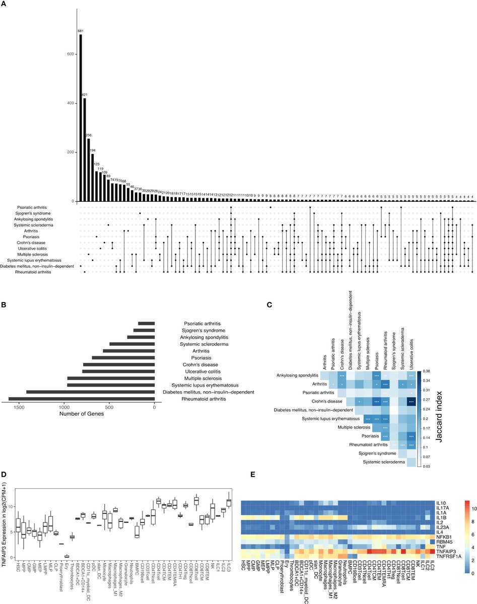 New URRCI work now online <a href="/FrontImmunol/">Frontiers - Immunology</a> "Integration of Immunome With Disease-Gene Network Reveals Common Cellular Mechanisms Between IMIDs and Drug Repurposing Strategies"
(frontiersin.org/articles/10.33…) #Immunome #IMID #systemsmedicine