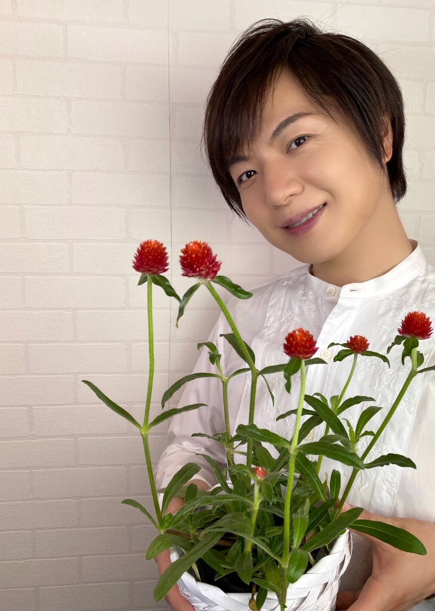 竹島宏スタッフ 公式 S Tweet 千日紅 ストロベリーフィールド 花言葉は 不朽 長い間色あせないことから この名がついたそうです 明日はデビュー記念日 たっぷり皆さんと過ごした いと思ってます 今日も1日お疲れ様でした ひろネット 花便り 花 竹島宏スタッフ 公式 S Tweet 千日紅 ストロベリーフィールド 花言葉は 不朽 長い間色あせないことから この名がついたそうです 明日はデビュー記念日 たっぷり皆さんと過ごした いと思ってます 今日も1日お疲れ様でした ひろネット 花便り 花