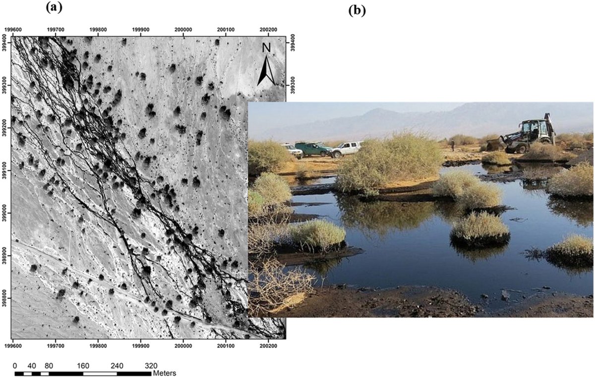 We have a new publication that might interest you...

"A novel approach for long-term spectral monitoring of desert shrubs affected by an oil spill"
doi.org/10.1016/j.envp…