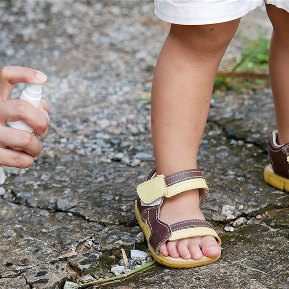 While you can't prevent all insect bites, there are steps you can take to help reduce them. More on how to beat the bite here: ow.ly/th8R50Fu3ox