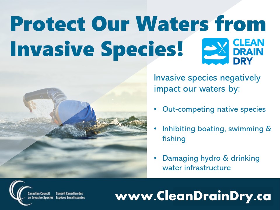 Protect our waterways from harmful #invasive species!
#CleanDrainDry your watercraft, fishing gear and other equipment each time after leaving the water!
Take the pledge and learn more at:  CleanDrainDry.ca