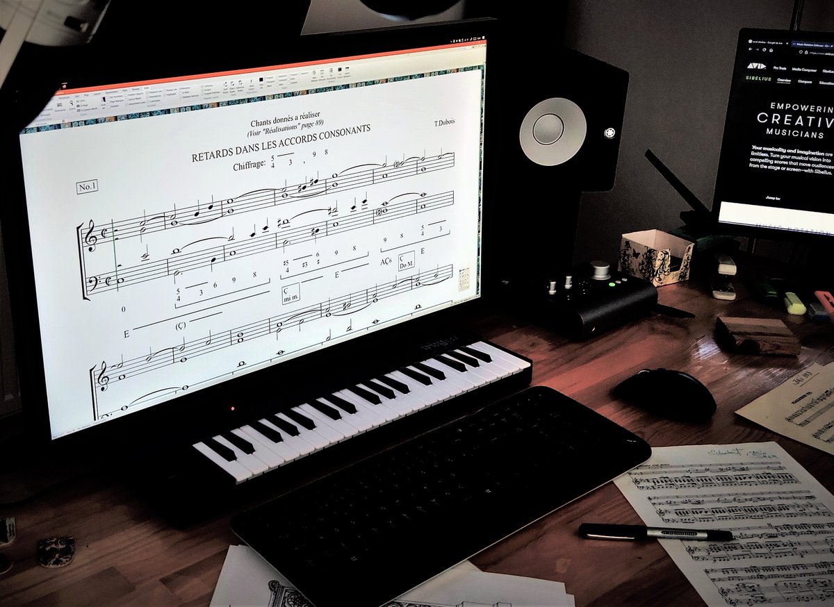 in my life since 1999 #avidsibelius