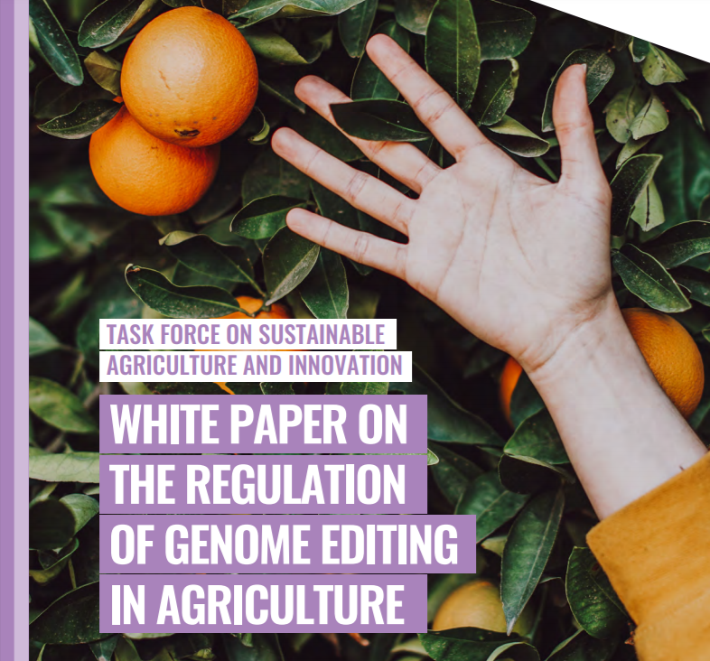 ALLEA_academies's tweet photo. The @ReImagineEuropa-led Task Force on #SustainableAgriculture and #Innovation presented their two latest reports 📕📙 on technological innovation &amp; policy options for #EUagriculture at the virtual meeting 'Beyond the apple of discord' 🍎

Read more ➡ https://t.co/8HDVhYE0io https://t.co/eE101E042U