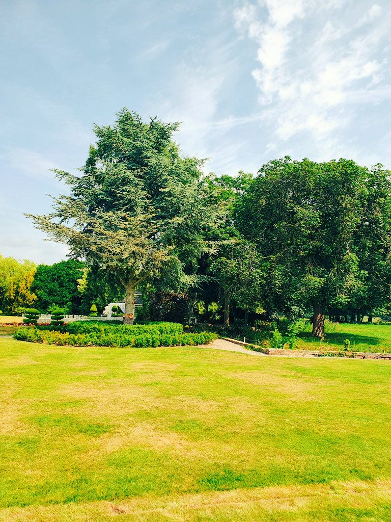 N0TINSERVICE's tweet photo. A fantastic wedding venue ๐๐
#TreeClub #cowclub https://t.co/LAWzktX5JL