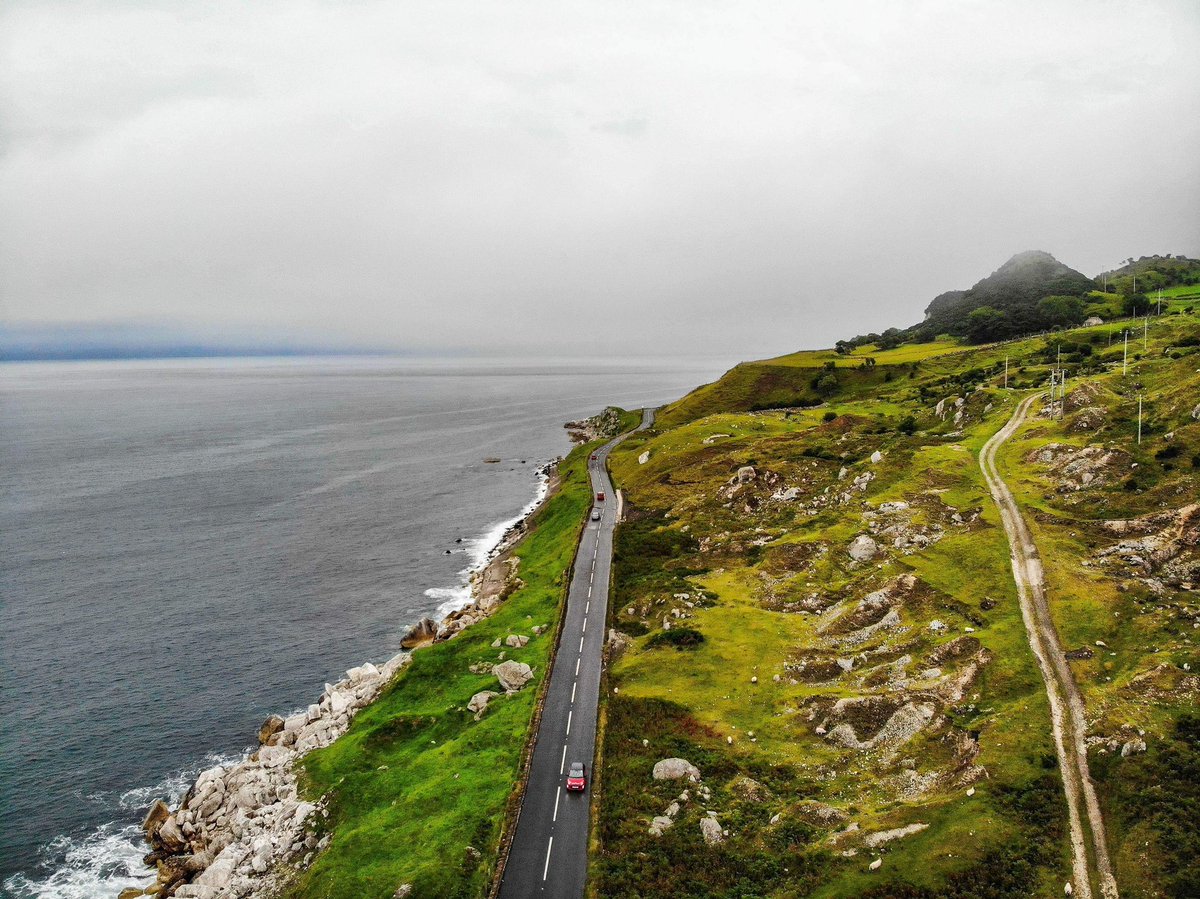 BOBEE Spot tweet media