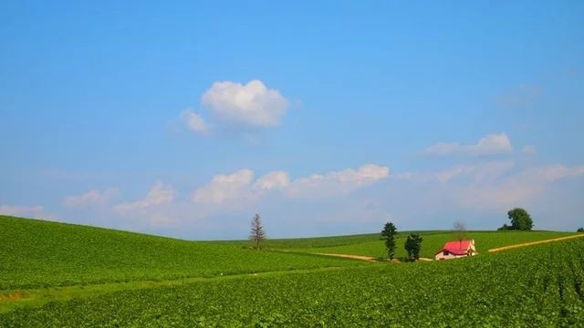 from_Cherieluv's tweet image. 🌲