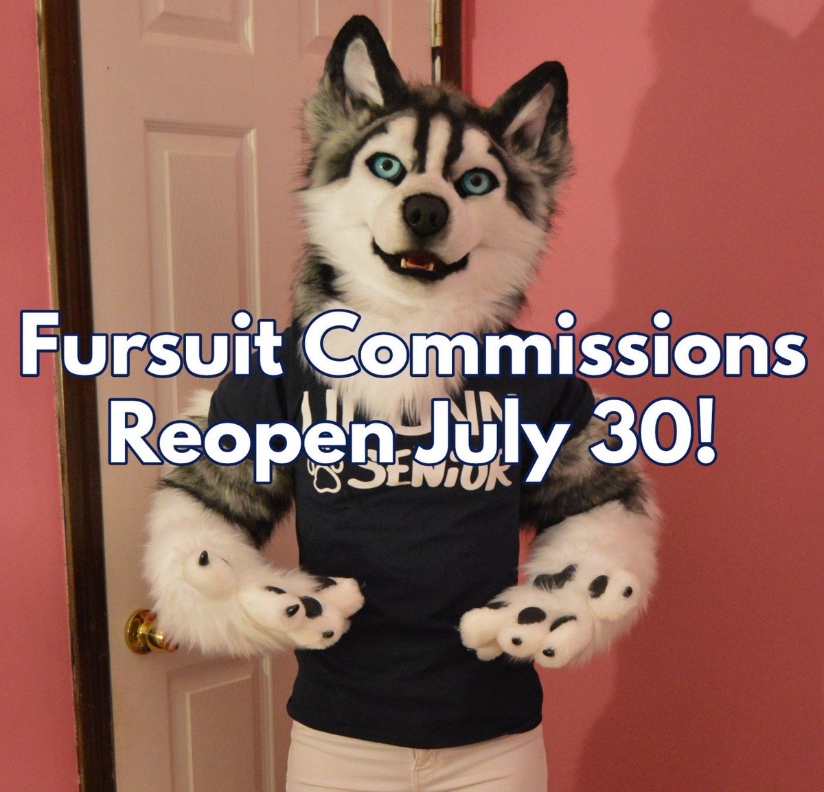 SarahcatFursuit's tweet photo. Happy #FursuitFriday! I open for commissions in one week, I hope to see lots of applications for amazing new friends to bring to life!! https://t.co/s98HEsbF3X