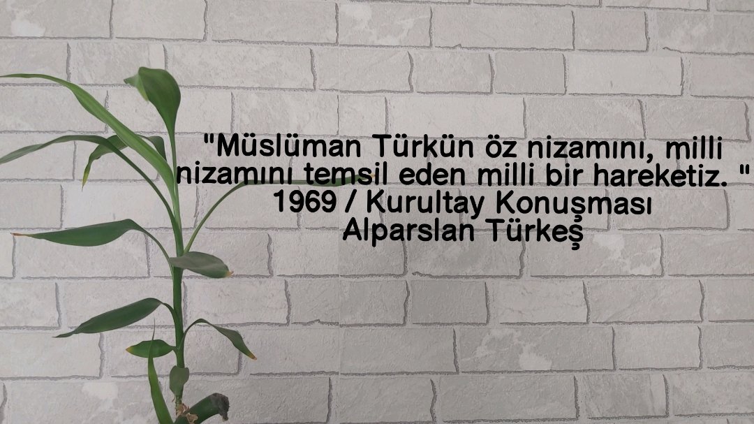 ülkü uğruna notlar (@yeseviduvari) on Twitter photo 