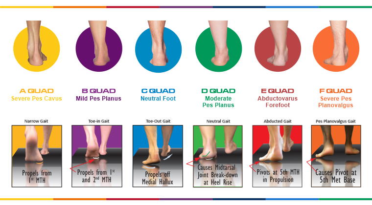 Nolaro24LLC's tweet photo. Nolaro24 has completely redone our Educational Video platform, we have 25 courses to choose from, for CEUs and non-CEU. Subjects range from pediatric flat foot to the adult foot types in depth. For complete course description go to
https://t.co/wELAZAn6Zw https://t.co/5jZqIDvjkQ