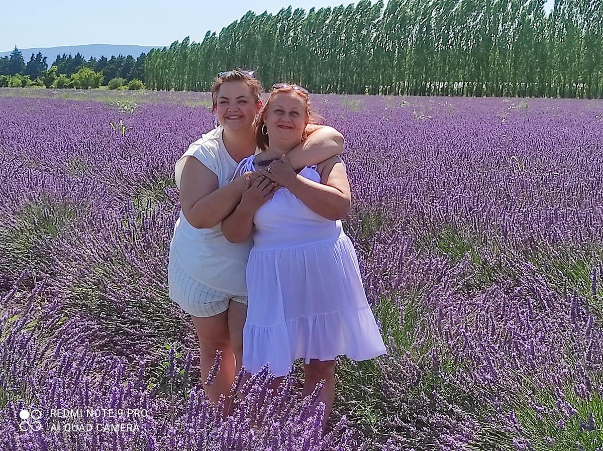 DemeuFab's tweet image. 