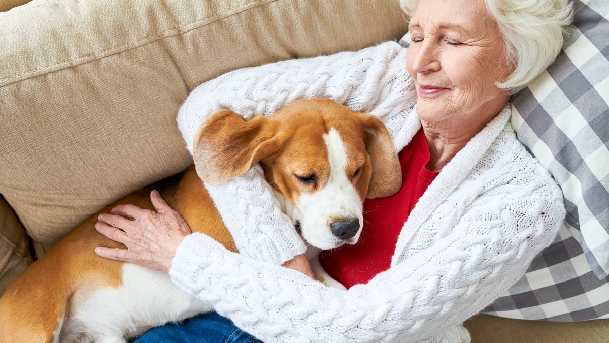 CaringPeopleInc's tweet photo. Weekends are for cuddling. 🐕

If you agree tap the❤️or share a photo of your furbaby in the comments below! ⬇

#feelgoodfriday #caringpeople #pettherapy #dogs #pets #seniorcare #seniorhealth #dementiacare #caregiver #seniorlivingcommunity #jobs #career https://t.co/K3ZqqjAUtP