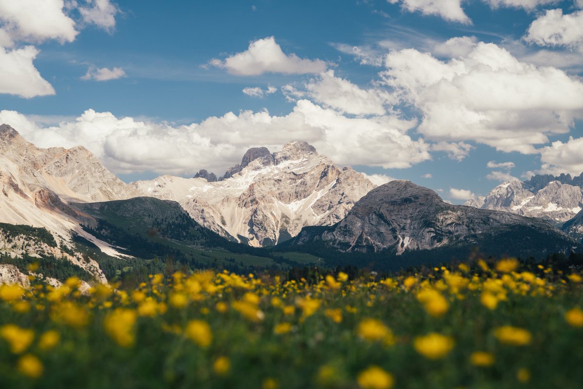 erinoutdoors's tweet photo. Love is all around https://t.co/sPZtlqDsES