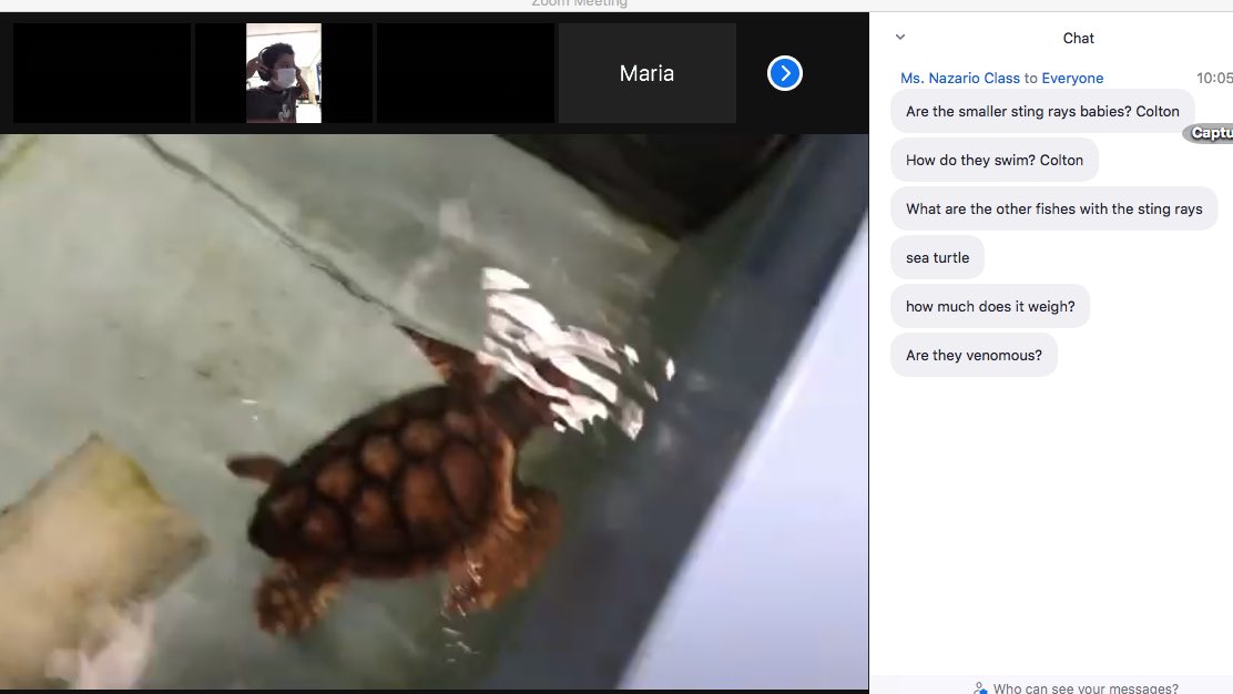 Thanks ⁦<a href="/FPGBilingue/">FPG Bilingüe</a>⁩  for inviting me to your virtual field trip to the NC Aquarium at Fort Fisher! It was so nice to meet all of the sea creatures! I really liked Kelp, the sea turtle!