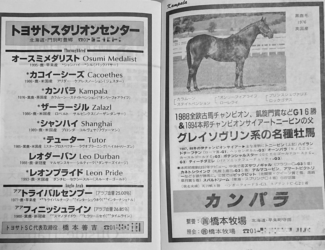 公の場での発言・インタビュー報道記録