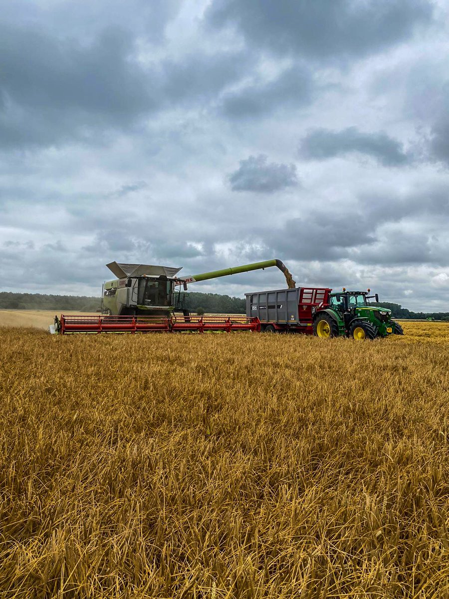 Raynham Estate tweet media