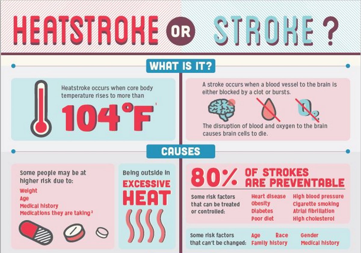 HeartPlace tweet media