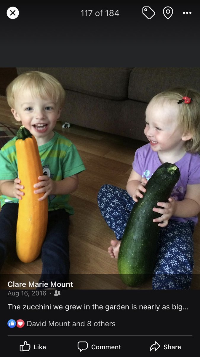 <a href="/jdbutler13/">Jonathon Butler</a> This takes me back to the zucchini I left growing too long:)