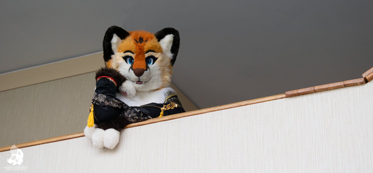 yeentography's tweet photo. Throwback to #FP2018, and this sneaky kitsune..! #FursuitFriday https://t.co/B0H7ph26B3